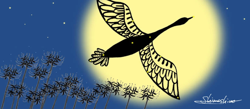 白鳥座と彼岸花